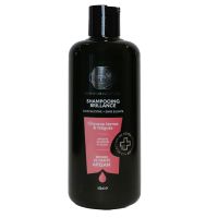 Shampoing brillance beurre karité argan cheveux ternes 500ml