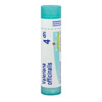 Valeriana officinalis tube