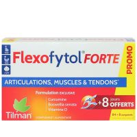 Flexofytol Forte articulations muscles et tendons 92 comprimés