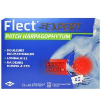 Flect Expert Patch Harpagophytum 5 patchs