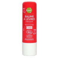 Baume à lèvres bio cerise 4g